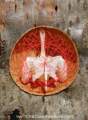 Samenobjekt-gesponnen